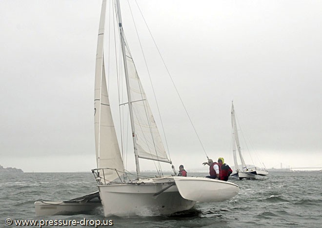 Peregrine Falcon - Silver Eagle Long Distance inside the Bay race 2011 © Erik Simonson/ pressure-drop.us http://www.pressure-drop.us